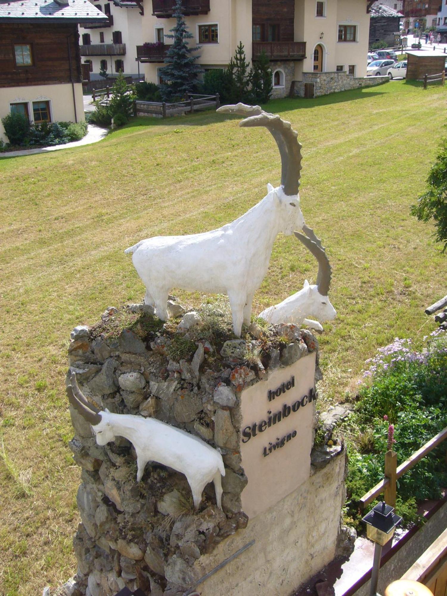 Hotel Steinbock - 3*