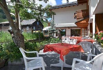 Steinbock - Livigno
