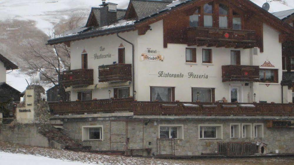 Steinbock - Livigno
