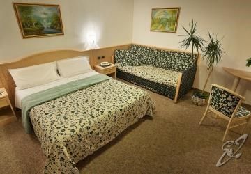 Steinbock - Hotel 3*